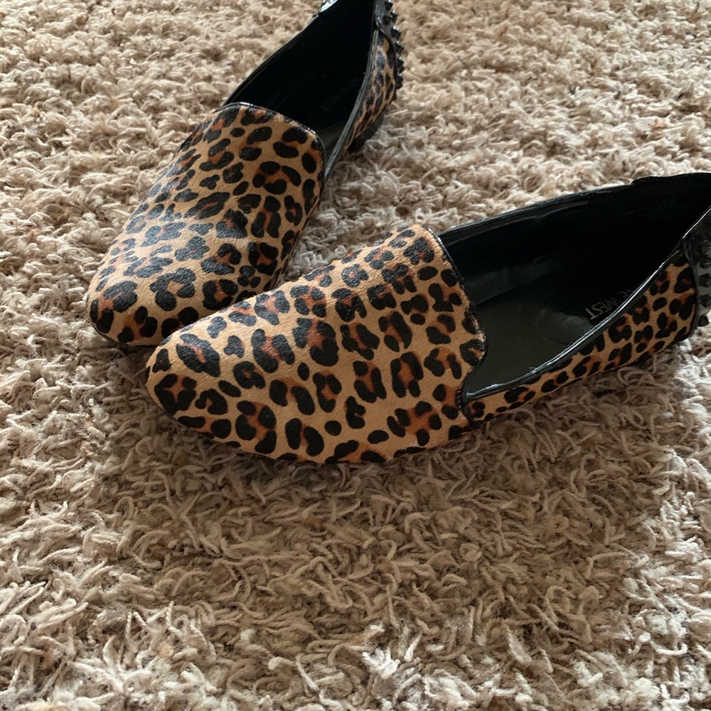 Cheetah 🐆